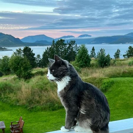 クリスティアンスンWake Up To A Beautiful View And Smell Of The Seaアパートメント エクステリア 写真