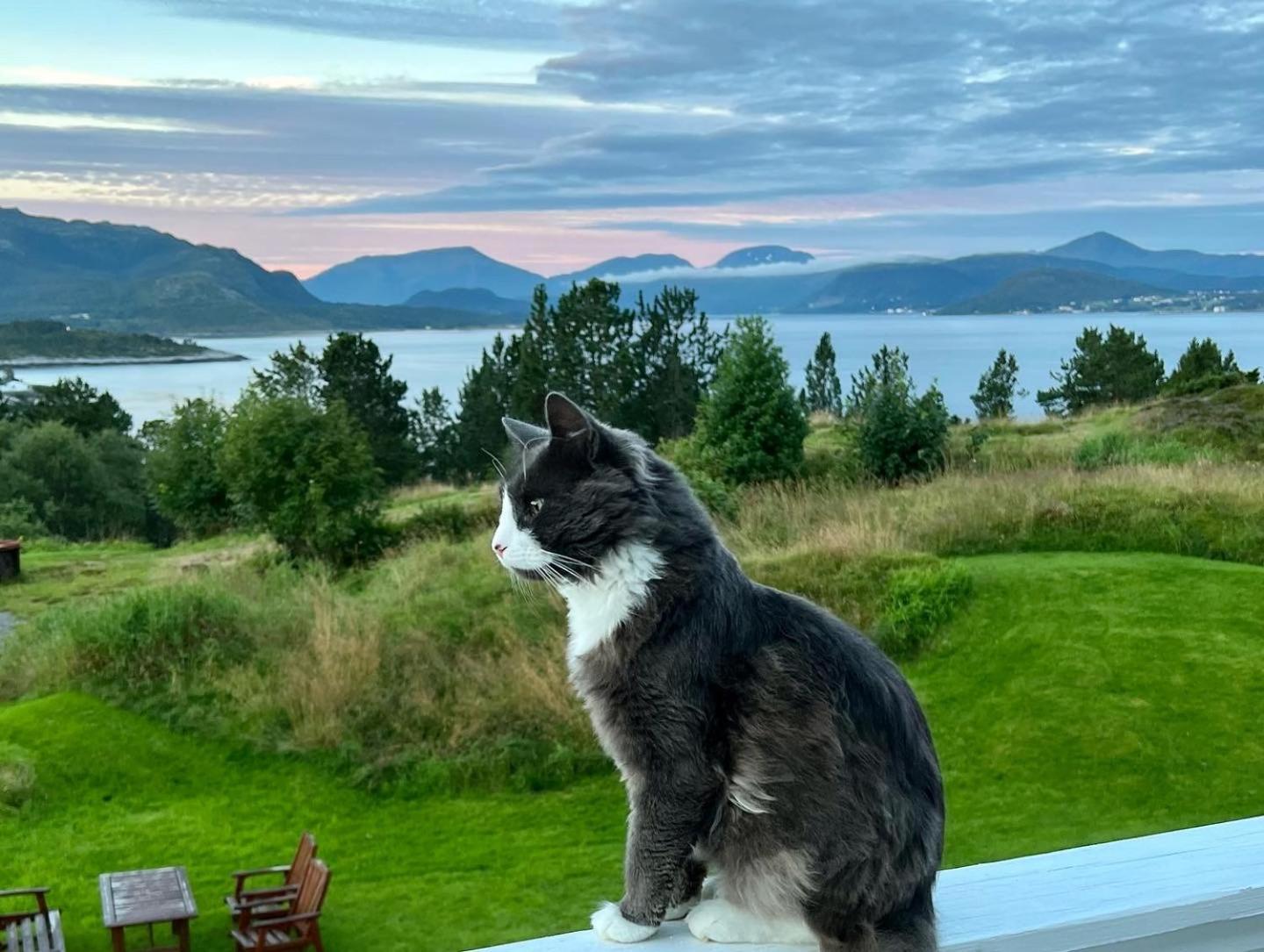 クリスティアンスンWake Up To A Beautiful View And Smell Of The Seaアパートメント エクステリア 写真