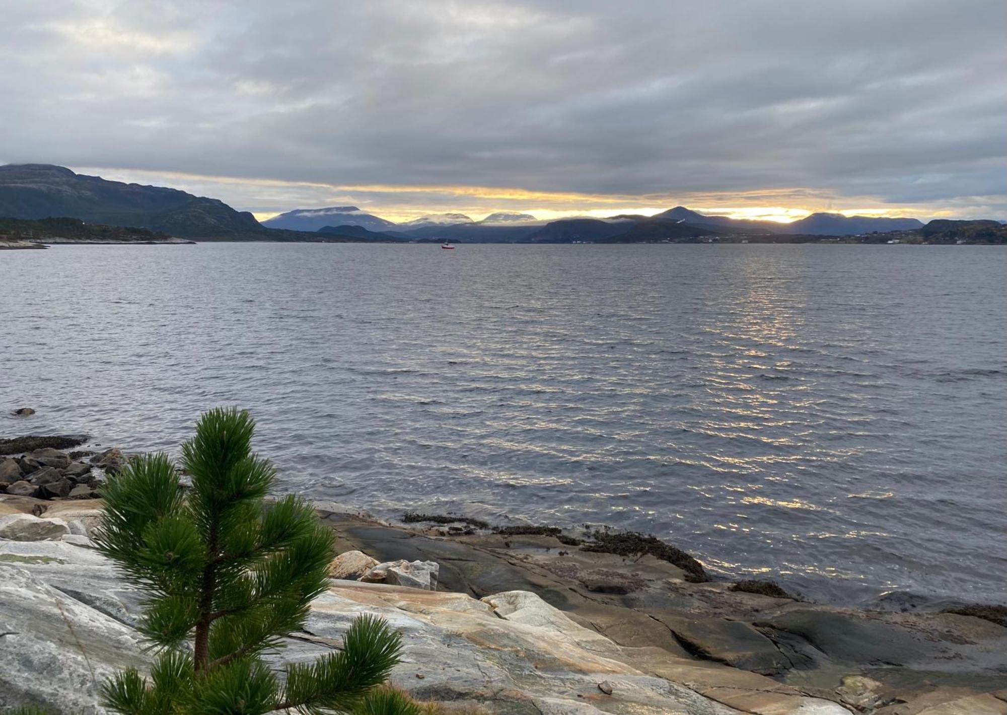 クリスティアンスンWake Up To A Beautiful View And Smell Of The Seaアパートメント エクステリア 写真